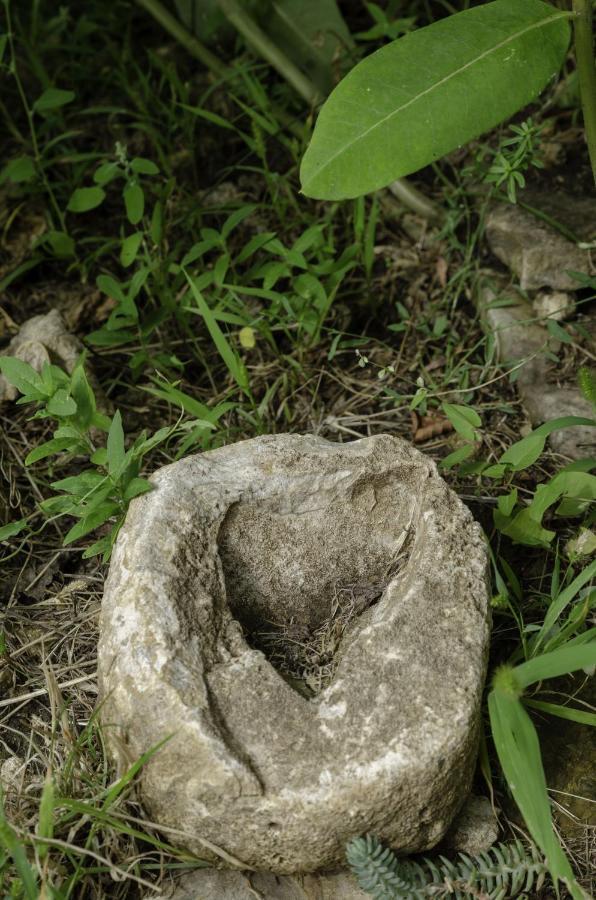 バラトンアカリEgrelato Vendeghazアパートメント エクステリア 写真